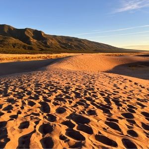 Meet your Posher, Gear head